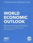 Image for World Economic Outlook, October 2021