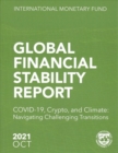 Image for Global Financial Stability Report, October 2021