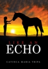 Image for Like an Echo