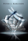 Image for Fly like a dragonfly &amp; shine like a diamond  : a holistic approach to doing your best