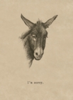 Image for Sorry Donkey. 6 cards, individually bagged with envelopes