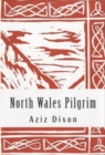 Image for North Wales Pilgrim