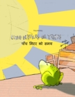 Image for Cinq metres de temps/???? ???? ?? ??? : Un livre d&#39;images pour les enfants (Edition bilingue francais-nepalais)