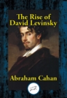 Image for The rise of David Levinsky