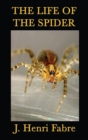 Image for The Life of the Spider