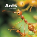 Image for Ants (Little Critters)