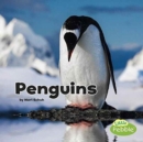 Image for Penguins (Black and White Animals)