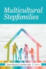 Image for Multicultural Stepfamilies
