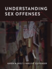 Image for Understanding Sex Offenses