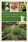 Image for Sedges and Rushes of Minnesota : The Complete Guide to Species Identification
