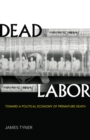 Image for Dead labor  : toward a political economy of premature death