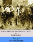Image for Wanderer of the Wasteland