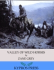 Image for Valley of Wild Horses