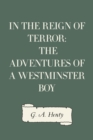 Image for In the Reign of Terror: The Adventures of a Westminster Boy