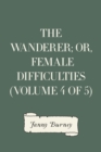 Image for Wanderer; or, Female Difficulties (Volume 4 of 5)