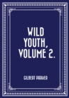 Image for Wild Youth, Volume 2