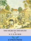Image for Negro in the South