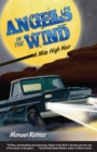 Image for Angels in the Wind