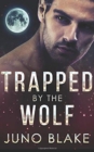 Image for Trapped by the Wolf