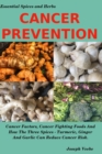 Image for Cancer Prevention : Cancer Factors, Cancer Fighting Foods And How The Spices Turmeric, Ginger And Garlic Can Reduce Cancer Risk