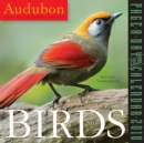 Image for Audubon Birds Page-A-Day Calendar 2018