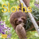 Image for 2019 Sloths Mini Wall Calendar