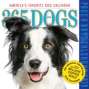 Image for 2019 365 Dogs Colour Page-A-Day Calendar