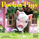 Image for 2019 Pocket Pigs Mini Wall Calendar