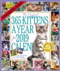 Image for 2019 365 Kittens a Year Picture-A-Day Wall Calendar