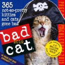 Image for 2019 Bad Cat Colour Page-A-Day Calendar