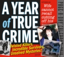 Image for 2019 a Year of True Crime Page-A-Day Calendar
