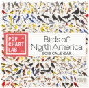 Image for 2019 Birds of North America Wall Calendar