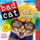 Image for 2020 Bad Cat Colour Page-A-Day Calendar