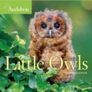 Image for 2020 Audubon Little Owls Mini Wall Calendar