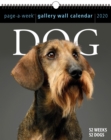 Image for 2020 Dog Page a Week Gallery Wall Calendar