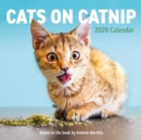 Image for 2020 Cats on Catnip Wall Calendar