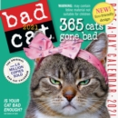 Image for 2021 Bad Cat Colour Page-A-Day Calendar