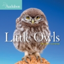 Image for 2021 Audubon Little Owls Mini Wall Calendar