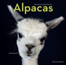 Image for 2021 Alpacas Wall Calendar