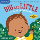 Image for Indestructibles: Big and Little: A Book of Opposites