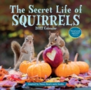 Image for 2022 the Secret Life of Squirrels