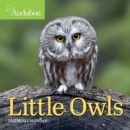 Image for 2022 Audubon Little Owls Mini