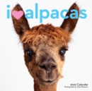 Image for 2022 I (Love) Alpacas Wall Calendar