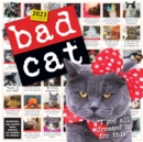 Image for Bad Cat Wall Calendar 2023 : Hilarious Photos Celebrating the Misfits of the Feline World