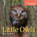 Image for Audubon Little Owls Mini Wall Calendar 2023 : A Year of Fluffy and Round Owls