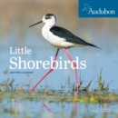 Image for Audubon Little Shorebirds Mini Wall Calendar 2023