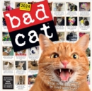 Image for Bad Cat Wall Calendar 2024 : Celebrating the Misfits of the Feline World