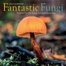Image for Fantastic Fungi Wall Calendar 2024 : Inspired by the Louie Schwartzberg Film