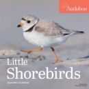 Image for Audubon Little Shorebirds Mini Wall Calendar 2024