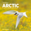 Image for Audubon Arctic Wall Calendar 2024